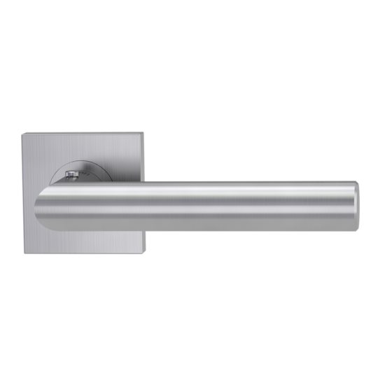 Maner usa LUCIA PROF